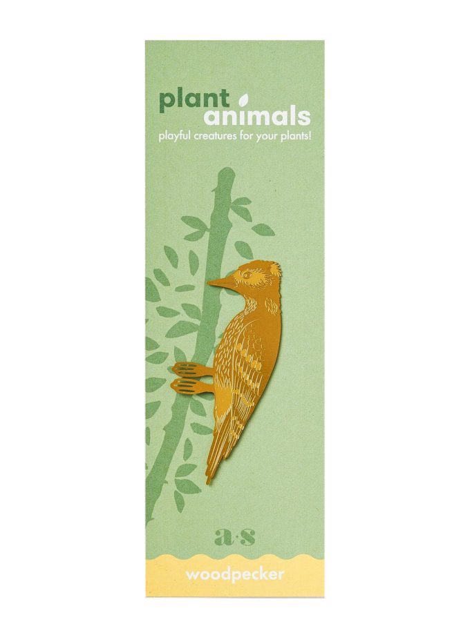 another-studio-plantanimal-specht